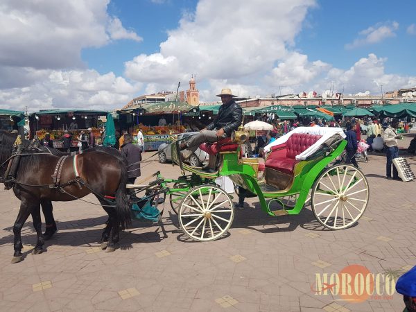 Marrakech városnéző csoportos program magyar nyelven kiscsoportos - Image 4